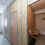 Pod Sneznikem * Dolní Morava