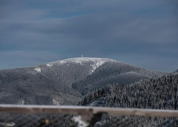 Pod Sněžníkem Apartamento